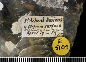Artefact: Flint hand axe (label)
