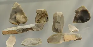 Mesolithic: Flint tools used by reindeer hunters. Solbjerg, Lolland. Ahr