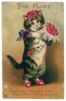 Flirt: THE FLIRT CAT 19C