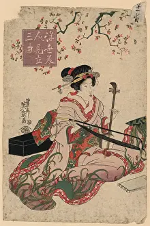 Biwa: Floating world beauties in a parody of three classic plays