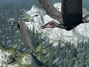 Dorygnathus: A flock of Dorygnathus