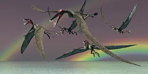 Rainbow: A flock of Dorygnathus pterosaur reptiles fly