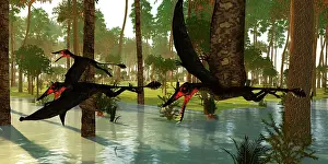 Searching: A flock of Dorygnathus pterosaurs search a flooded