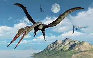 Pterosaur: A flock of large Quetzalcoatlus flying over a