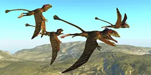 Pterosaur: A flock of Peteinosaurus reptiles fly over a mountainous