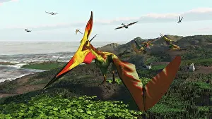 Pteranodon: A flock of Pteranodon longiceps pterosaurs on
