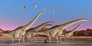 Pteranodon: A flock of Pteranodon reptiles fly over a herd