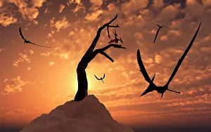 Pteranodon: A flock of Pteranodons flying on a Cretaceous night