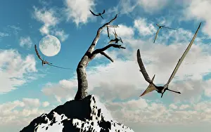 Pteranodon: A flock of Pteranodons flying on a sunny Cretaceous day