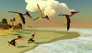 Tithonian: A flock of Pterodactylus fly out to sea to search