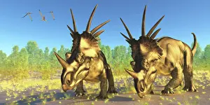 Styracosaurus: A flock of Pterodactylus fly above two Styracosaurus ?