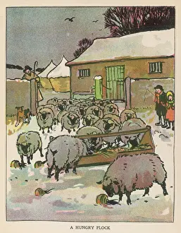 Flock of Sheep in Snow