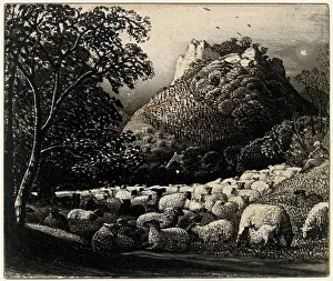 The Ashmolean Museum: The Flock and the Star
