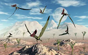 Thalassodromeus: A flock of Thalassodromeus pterosaurs during Earth's ?