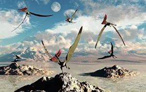 Thalassodromeus: A flock of Thalassodromeus pterosaurs during Earth's ?