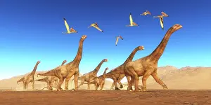 Thalassodromeus: A flock of Thalassodromeus reptiles fly over a