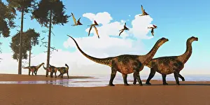 Seashore: A flock of Thalassodromeus reptiles fly over a