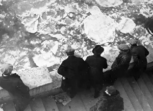 Floes: Floes on the Seine