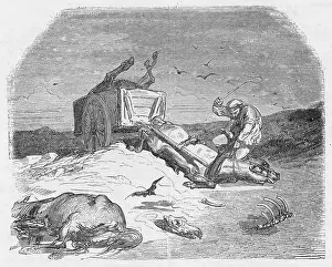 Flogging: FLOGGING NEAR-DEAD HORSE