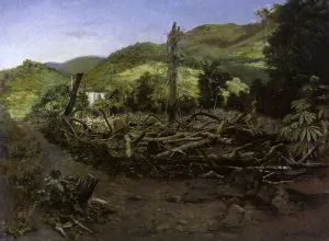 Weingartner: After the Flood