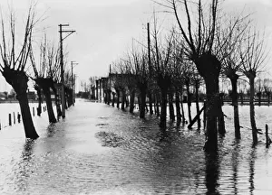Therefore: Flooded area behind the Atlantic Wall, 1944