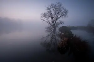 Yser: Flooded fields in the plain of the Yser River