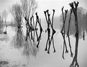 Pangbourne: FLOODED THAMES 1939