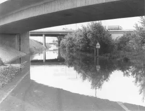 Lobau: Flooding in Vienna 1979