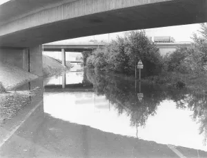 Lobau: Flooding in Vienna 1979