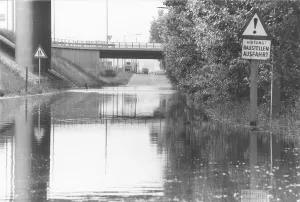 Lobau: Flooding in Vienna 1979