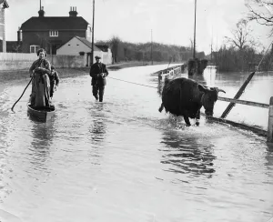 Leas: Floodings in Kent