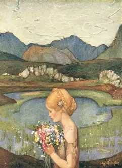 Fells: Flora Of The Fells