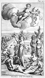 Scatters: FLORA & POMONA