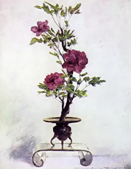 Arranging: FLORAL ARRANGEMENT JAPAN