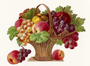 Woven: Floral Basket