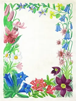 Harebells: Floral border design