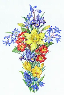 Primulas: Floral Cross with Scillas, Irises, Daffodil, etc