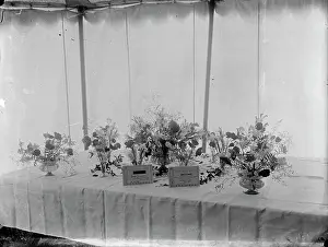 Prize Winning: Floral display at Sidcup and District Horticultural Show