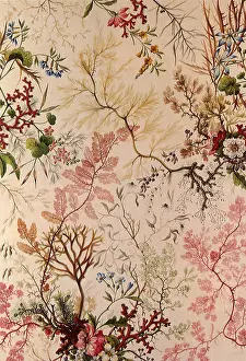 Seaweed: Floral and Seaweed Design