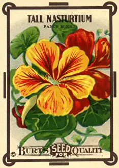 Vivid: Floral Seed Packet