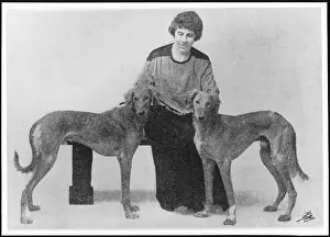Saluki: Florence Amherst with salukis