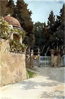 Boboli: FLORENCE/BOBOLI GARDENS