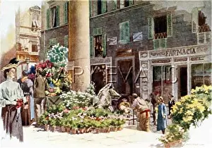 Fiori: FLORENCE/FLOWER MARKET