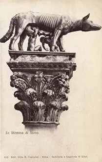 Remus: Florence, Italy - Siena - Romulus and Remus