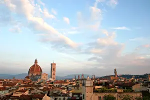 Fiore: Florence Skyline