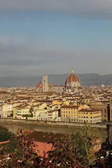 Fiore: Florence, Tuscany, Italy