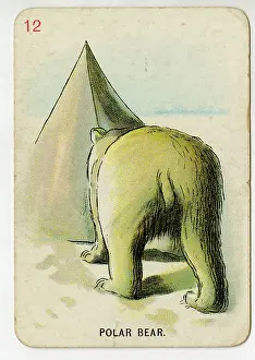 Upton: Florence Upton playing cards - Polar Bear