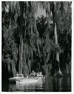 Adds: Florida - Georgia