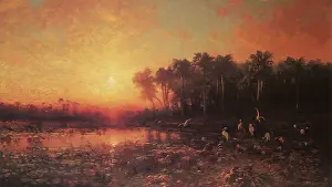 Sunrises: Florida Sunrise