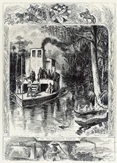Crocodiles: Florida Swamp - Steamer